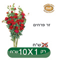 מזנון - רהיטי אלבוסתן